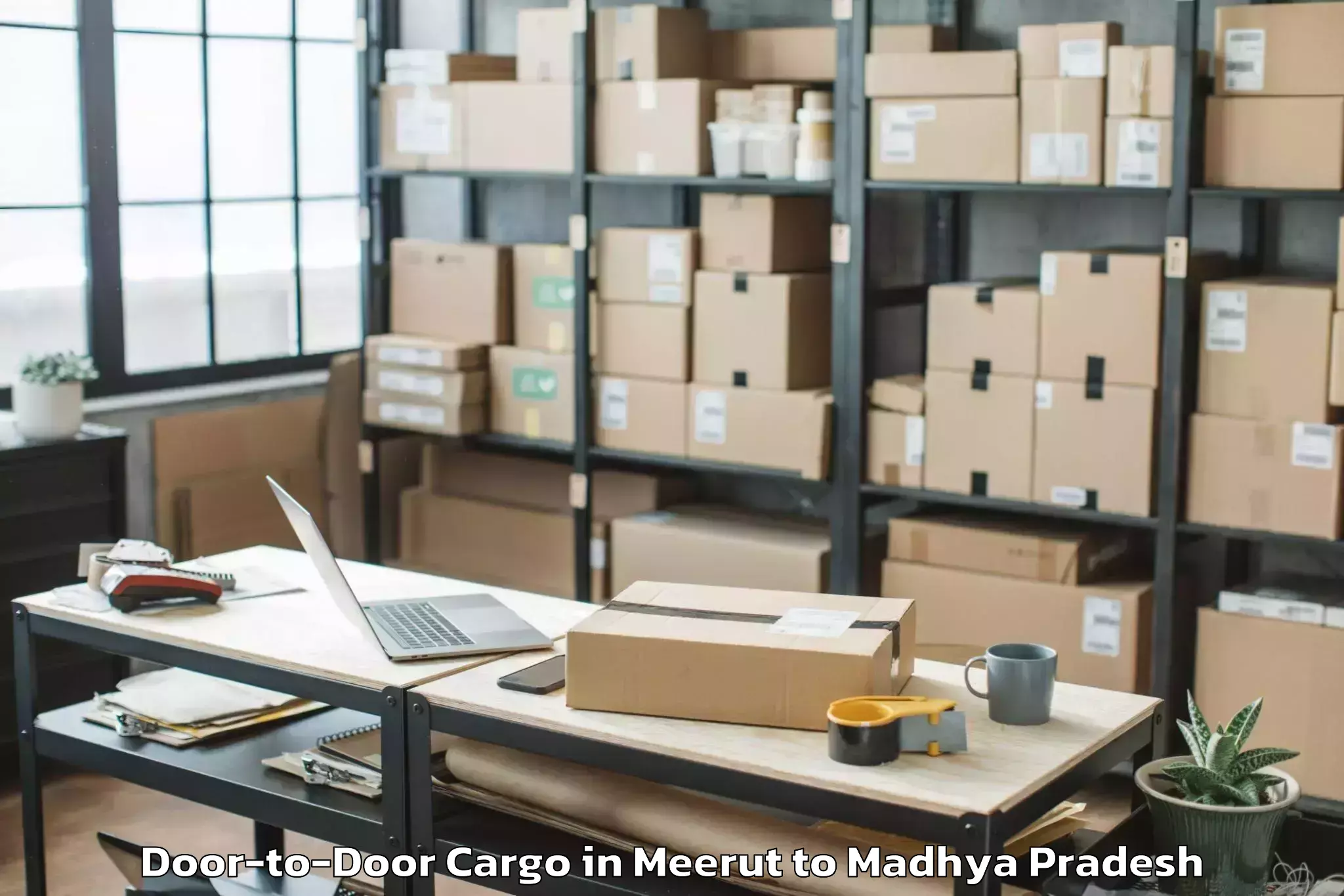 Professional Meerut to Agar Door To Door Cargo